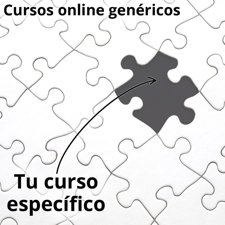 Curso de nicho exitoso