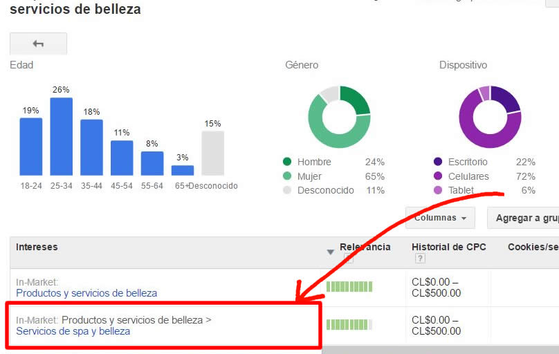Google Adwords paso5
