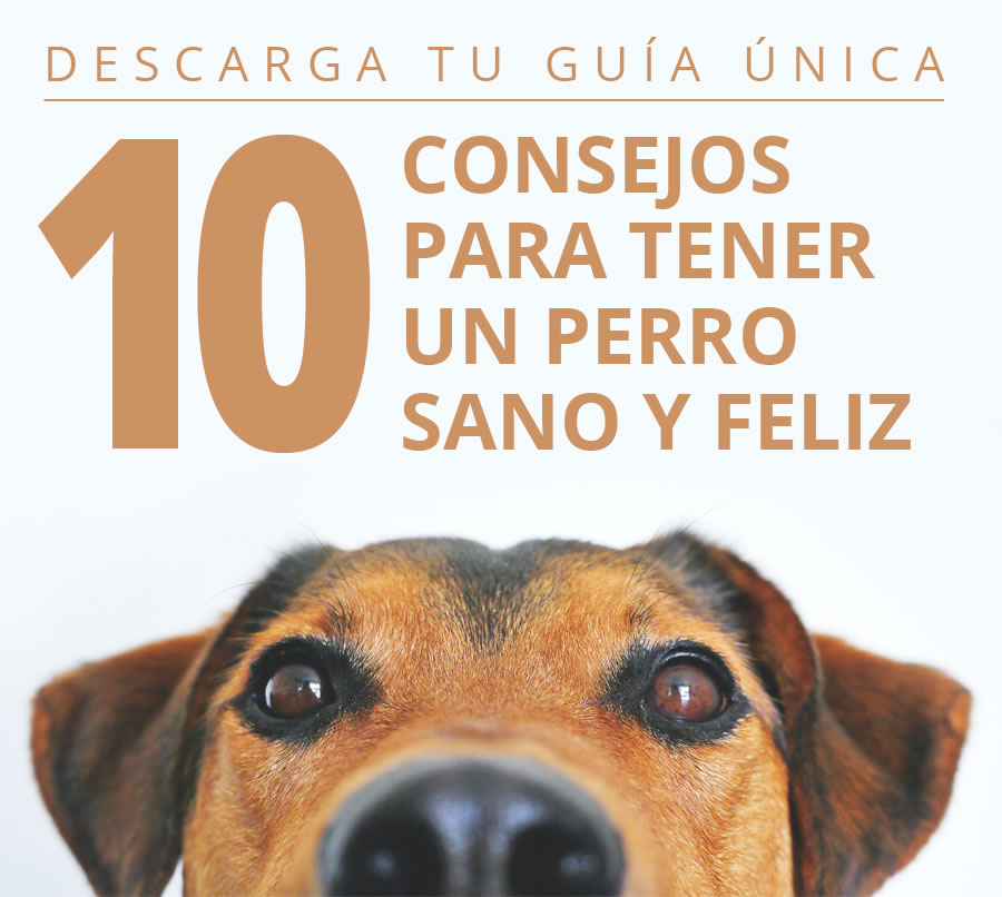 Tu mejor versión